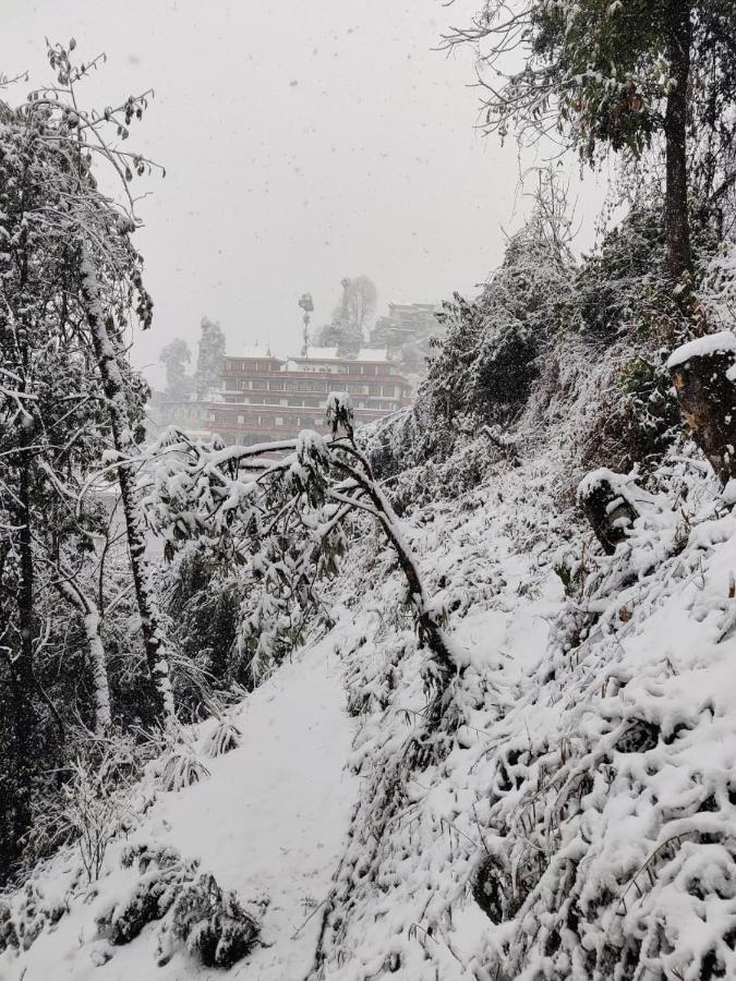 Mountain Chalet Darjeeling  Bagian luar foto